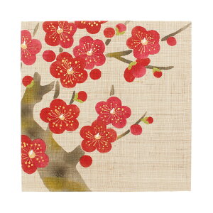 A[gpl {pl a  A[g{[h ^yXg[ s` 20×20cm ` _ a_ ^yXg[ Ǌ| CeA a aG VG[ Wp RAKUSHIA