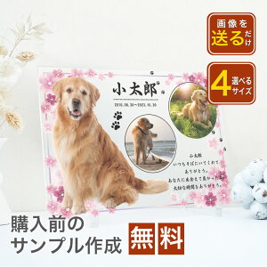 yő4000~OFFz yꖳz ybg  tHgt[ ʐ^ AN O tHg X^h   NA Ȃ ʐ^ Mtg v[g i j j a