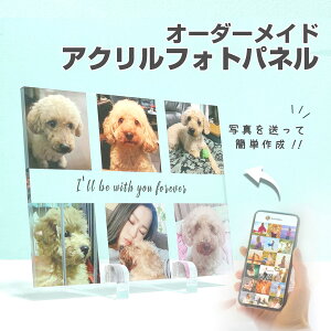 【最大4000円OFFクーポン】【 アクリルフォトパネル A08 】ペット 犬 猫 メモリアル 位牌 オリジナル オーダーメイド かわいい イヌ ネコ ペット用おもちゃ おやつ 犬用 猫用 記念日 うちのこ