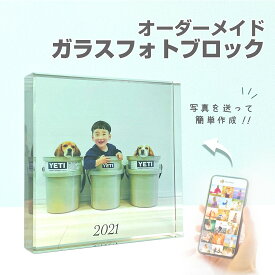 ★レビュー特典1,000円クーポン★ 無料サンプル作成で安心！！【 ガラスブロック C01】子供 Baby 赤ちゃん 出産祝い ニューボーン 祖父祖母 写真 プリント 記念日 プレゼント 孫 初孫 ギフト 名入れ 文字入れ 七五三 記念 アクリル フォトフレーム 送料無料 写真立て