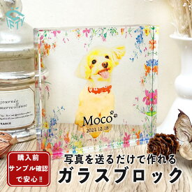 ペット メモリアル 写真立て【 ガラスブロック C09 】フォトフレーム 位牌 名入れ 犬 猫 イヌ ネコ 誕生日 オーダーメイド 虹の橋 写真 プリント うちのこ 供養 ギフト 文字入れ おしゃれ 送料無料 置き時計 ガラス 遺影 記念品 かわいい