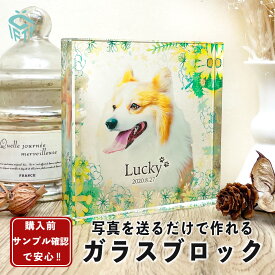 ペット メモリアル フォトフレーム【 ガラスブロック C09 】写真立て 位牌 名入れ 犬 猫 イヌ ネコ 誕生日 オーダーメイド 虹の橋 写真 プリント うちのこ 供養 ギフト 犬の誕生日　お葬式　置き時計 ガラス 遺影 記念品