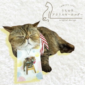 【最大4000円OFF】 ★1つプレゼント★ 【 2way / 無料台座付 / 両面印刷】 ペット キーホルダー 猫 犬 写真 うちの子 グッズ オリジナル アクスタ アクリル プレゼント 仏具 思い出 メモリアル おじいちゃん おばあちゃん ギフト オシャレ P10