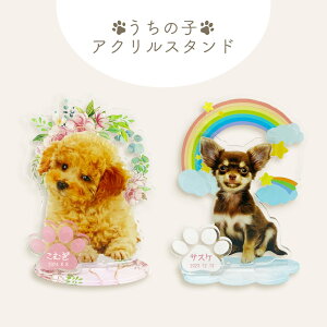 y ANX^hzA  L ̋ ʐ^ O N bZ[W ybg Ւd ybgd  d ybg{ P02