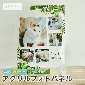 yő4,000~OFFzL A ybgX ̎q tHgpl  t vo c Ǔ ybgƑɑ    CeAɓ D͋CyA14z