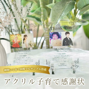 qĊӏ EFfBO ev[g  t tHgt[   ӂ̋LO  i AMtgyA30z