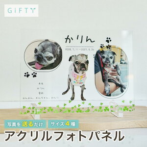 yő4,000~OFFztHg@R[WAN@X^h@A{[h@O@ՃfUC@@₳J[@CeAɓށ@{@ƑMtg@v