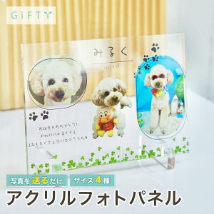 yő4,000~OFFz̎qtHgpl@AN@Ή@ybgLO@X^h@킢Ձ@Ƒʐ^@AMtg@Vbvt|bv@Vv@C