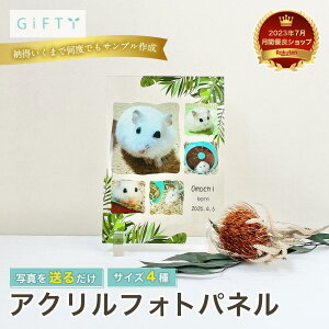 yő4,000~OFFzyANtHgplz ʐ^ ANtHgpl  L nX^[ ybg A LO v[g Mtg vo ۑ I[_[Ch yAMtg 