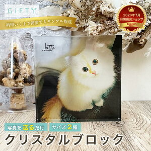 yNX^ubNzL  ʐ^ LtHg vw Jbv l ۑ v[g LO jp 蕨 voc CeAObY ybgAyc01z