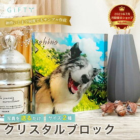 【クリスタルブロック】犬 ワンちゃん わんこ 犬好き ペット 名入れ 写真入り 青空背景 ペットグッズ 恋人 カップル向け 記念日 保存可能 プレゼント 思い出ギフト おしゃれ飾り インテリア 永久保存用【c01】