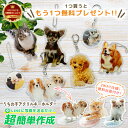 ★1つプレゼント★ 【 2way / 無料台座付 / 両面印刷 】【 アクリル キーホルダー P10-1 】 ペット 写真 キーホルダー…