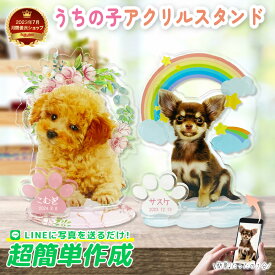 【 アクリルスタンド P02】 ペット 写真 供養 メモリアル 仏壇 虹の橋 虹 キーホルダー メモリアル オリジナル プリント オーダーメイド 犬 猫 位牌 子供 プレゼント オーナーズグッズ うちの子 ペット アクスタ アクキー フォト 誕生日