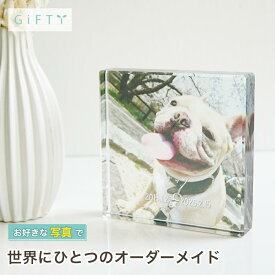 ガラスブロック ペット メモリアル 名入れ 感謝 写真 サプライズ 記念品 大切な家族へ ギフト オリジナル ペットオーナーへ 記念日 贈り物 プレゼント 癒しグッズ 愛情表現 うちの子 おしゃれ 誕生日 ペットへの想い ペットのいる暮らし【c01】