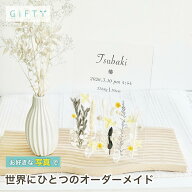 【SS限定クーポン】 命名書 出産祝い 名入れ プレゼント 感謝 贈り物 記念品 家族の宝物 出産の記念に 両…