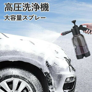 �_�S���i�Ώ�SS���ʃN�[�|���z�z�� �^ �������@�t�H�[���L���m�� �~�����X�v���[ ��ԗp ��e��2L �蓮�����|���v�� �A�^�C�v ���A�X�v���[ ������ �Ő���p