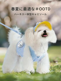犬猫用 ハーネス＆リード キャミソール 3点セット 薄手 通気 着脱簡単