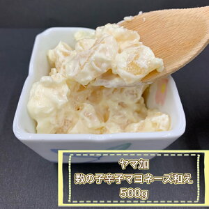 yNz }@Ɩp@̎q@hq}l[Ya500g@ ̎q@}@hq@a@@@܂@t@܂@}J@Y@󂠂@}l[Y@lC@