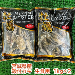 {錧Y@ⓀktJLiHpj1kg×2JL@Z@y@ZKL@{@H