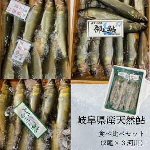 �򕌌��Y�V�R���@���Ƃŕi�]��(2��×3P)