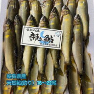 ≪2026年新物≫【冷凍】岐阜県産　天然鮎（釣り）　約1kg　18～22尾天然　鮎　アユ　岐阜　あゆ　高級　…