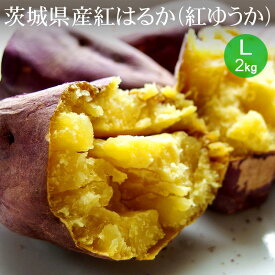 茨城県産 紅はるか(紅ゆうか) L×2kg(約5本入) A等級 生芋【ブランド芋 焼き芋 大き目 お試し 野菜便 常温便 送料無料】