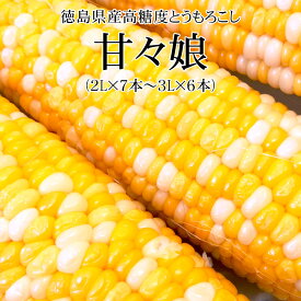 徳島県産高糖度とうもろこし 甘々娘 秀 (2L×7本～3L×6本) お試しかんかんむすめ [送料無料 父の日 JA徳島 スイートコーン BBQ 入手困難 バイカラーコーン]