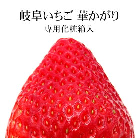 【タイムセール 3,500円⇒3,200円】岐阜いちご 華かがり 専用化粧箱入(8〜15粒入) [岐阜県産 JA 岐阜 送料無料 お歳暮 ギフト 産地直送 母の日 お祝 ホワイトデー]