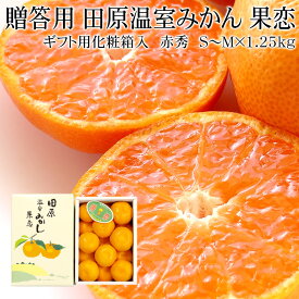 【予約早割4,280円⇒3,980円】愛知県産 田原温室みかん 果恋 S〜M×1.25kg(11～15個入) 赤秀 ギフト用化粧箱入 [お中元 ギフト のし対応 送料無料 冷蔵便 濃厚な甘さ 薄皮 極上 みかん JA愛知みなみ]