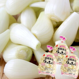 【タイムセール5,300 円⇒ 4,880円】鳥取県福部町産 洗いらっきょう M 1kg×3袋 [ふくべ鳥取砂丘らっきょう 生辣韭 国産 洗い らっきょう JA全農鳥取 送料無料 冷蔵便]