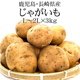 【タイムセール2,380円⇒1,980円】鹿児島・長崎県産 新じゃがいも L～2Lx3kg【2024年収穫 新じゃが 送料無料】