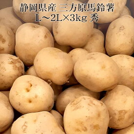 静岡県産 三方原馬鈴薯じゃがいも L～2Lx3kg [みかたはら 野菜便 送料無料 常温便 新じゃが]