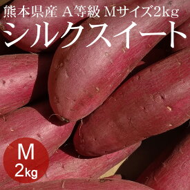 熊本県産シルクスイート Mx2kg(約10本) A等級 [生いも 使いやすい量 焼き芋 野菜便 常温便 送料無料]