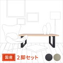 岐阜鉄の匠 【国産/日本製】 テーブル用アイアン脚 （鉄脚・スチール脚） ロータイプ・スクエア・長方形 天板奥行き45…