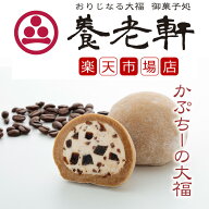 【公式】養老軒 かぷちーの大福 (6個/10個) スイーツ 和スイーツ 和菓子 フルーツ大福 詰め合わせ お取り…
