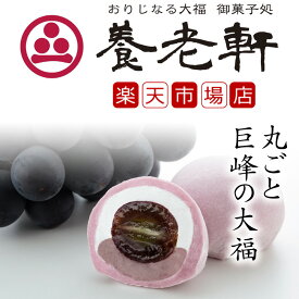 【公式】養老軒 丸ごと 巨峰の大福 (6個/10個) 大粒 まるごと フルーツ大福 スイーツ 和スイーツ 和菓子 詰め合わせ お取り寄せ ギフト プレゼント 手土産 高級 個包装 内祝い 出産祝い 結婚祝い 冷蔵 送料無料 届日指定 ヤマト運輸 クール冷蔵便