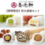 【公式】養老軒 秋の感謝セット シャインマスカット大福 シナモンりんご大福 キャラメルチーズ大福 栗き…