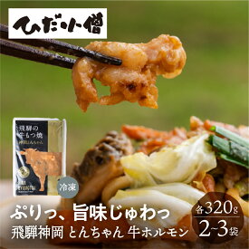 飛騨神岡とんちゃん 300g 2袋 3袋 特製味噌味 牛 もつ 牛ホルモン バーベキュー BBQ 冷凍 おつまみ 惣菜 味付け 飛騨神岡 ひだ小僧 飛騨高山 送料無料 岐阜県 岐阜