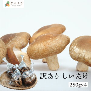 ys\zs10{ȍ~\tsƒpt 250g×4 v1kg  Ȃt@[ 󂠂 ƒp ő VC^P A 킯 ۏ ͔| s LmR ̂   Y 
