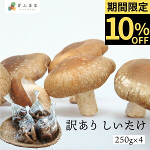 s10{ȍ~\tyƒpz 250g×4 v1kg  Ȃt@[ 󂠂 ƒp ő VC^P A 킯 ۏ ͔| s LmR ̂   Y ˍR _