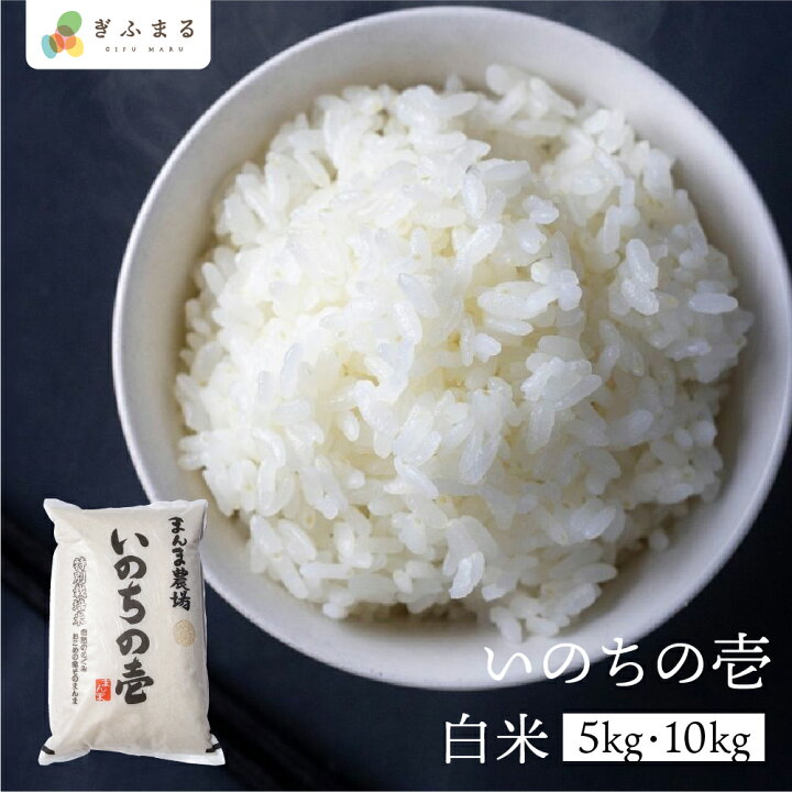 楽天市場】【数量限定】令和7年産 いのちの壱 5kg 10kg 白米 まんま 