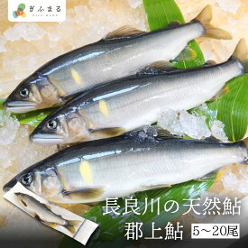 【尾数が選べる】 郡上鮎 長良川の天然鮎 5尾 10尾 15尾 20尾 鮎 天然 冷凍 お取り寄せ あゆ 魚 川魚 岐阜県 塩焼き BBQ バーベキュー キャンプ 世界遺産 世界農業遺産 美濃飛騨グルメ 岐阜 産地直送 送料無料