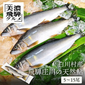 ≪ 尾数が選べる ≫ 白川村産 飛騨庄川の天然鮎 5尾 10尾 15尾 18cm以上 鮎 天然 冷凍 あゆ 釣り 夜網漁 魚 川魚 白川郷 白川村 世界遺産 お取り寄せ 塩焼き BBQ アウトドア 美濃飛騨グルメ バーベキュー キャンプ 送料無料 ギフト 敬老の日 ayu