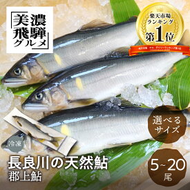 ＼アユランキング1位／ 【尾数が選べる】 郡上鮎 長良川の天然鮎 5尾 10尾 15尾 20尾 鮎 天然 冷凍 お取り寄せ あゆ 魚 川魚 塩焼き BBQ バーベキュー キャンプ 世界遺産 世界農業遺産 美濃飛騨グルメ 産地直送 送料無料 ギフト スイカ 香り 敬老の日 岐阜 ぎふまる