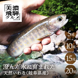 【尾数が選べる】 天然いわな 産 冷凍 5尾 10尾 15尾 20尾 処理済 天然 いわな 岩魚 イワナ 魚 川魚 塩焼き BBQ バーベキュー キャンプ 世界遺産 世界農業遺産 美濃飛騨グルメ ギフト