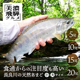 【尾数が選べる】長良川の天然あまご 岐阜県産 冷凍 5尾 10尾 15尾 20尾 天然 アマゴ 魚 川魚 岐阜県 塩焼き BBQ 世界遺産 世界農業遺産 美濃飛騨グルメ