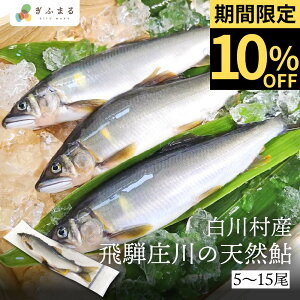 yIׂz 쑺Y ˏ̓VR 5 10 15 18cmȏ  VR Ⓚ  ނ ԋ  싛 싽 EY  Ă BBQ Z˃O ̓ o[xL[ L