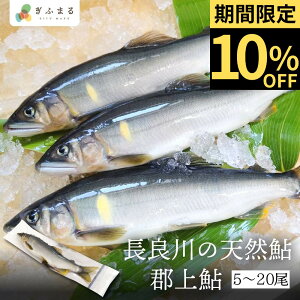 yԌ10%OFFzyIׂz S㈼ ǐ̓VR 5 10 15 20  VR Ⓚ    싛 򕌌 Ă BBQ o[xL[ Lv EY E_ƈY Z