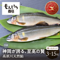 《7月6日より順次発送》【尾数が選べる】高原川の天然鮎 3尾 6尾 9尾 12尾 15尾 15〜24cm以上 鮎 天然 冷…