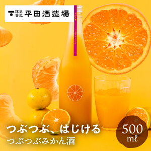 ԂԂ݂ 500ml c𑢏 ʎ  炲 ʓ X L[ ݂ ~J   Mtg 蕨 i  n 퉷 e L[ v[g 20 30 40 5